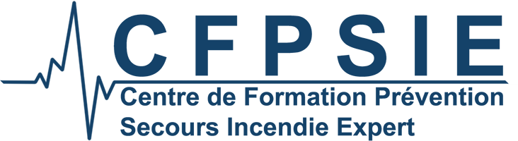 Logo du centre de formation CFPSIE